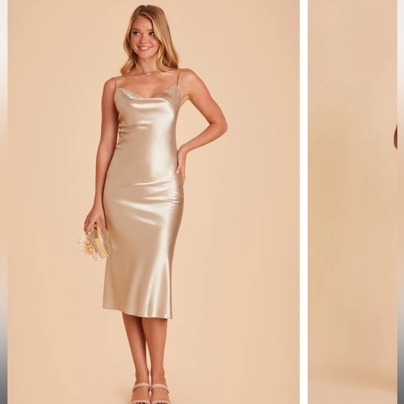 Birdy Grey Champagne Midi Dress - Picture 3 of 6